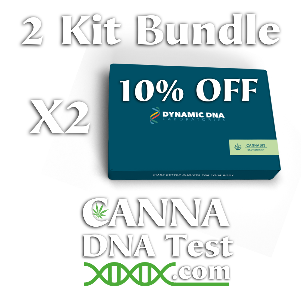 2 Kit Bundle of Cannabis DNA Testing Kit Boxes with 10% OFF