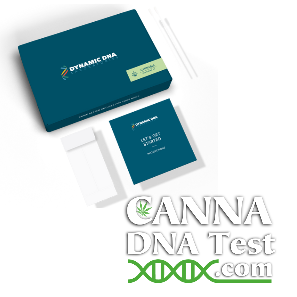 Cannabis DNA Test Kit