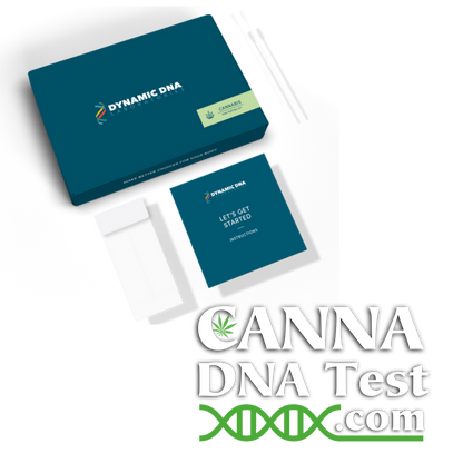 Cannabis DNA Test Kit