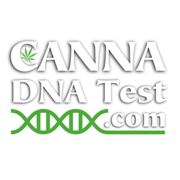 Canna DNA Test