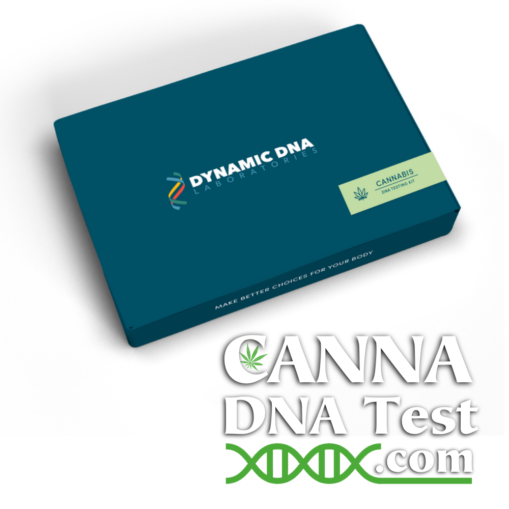 Cannabis DNA Testing Kit Box