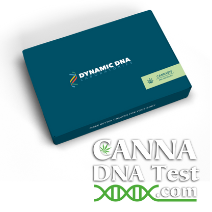 Cannabis DNA Testing Kit Box